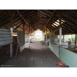 Alkalmi lehetőség Körösladányban!