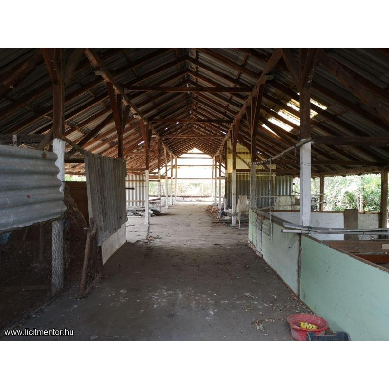 Alkalmi lehetőség Körösladányban!