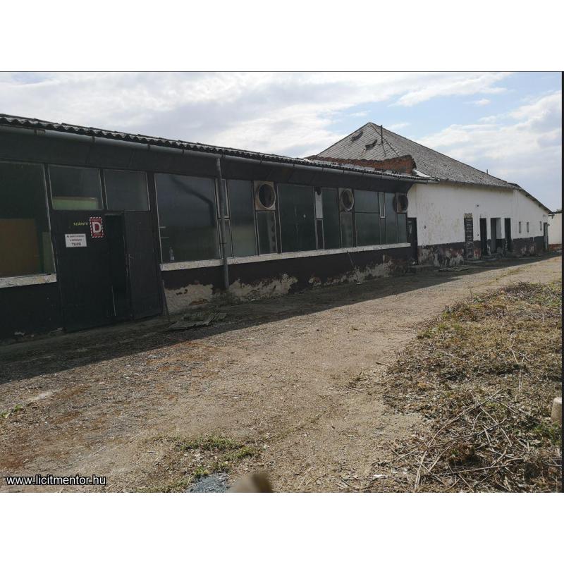 Alkalmi lehetőség Körösladányban!